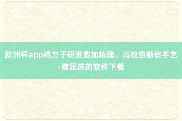 欧洲杯app竭力于研发愈加精确、高效的勘察手艺-赌足球的软件下载
