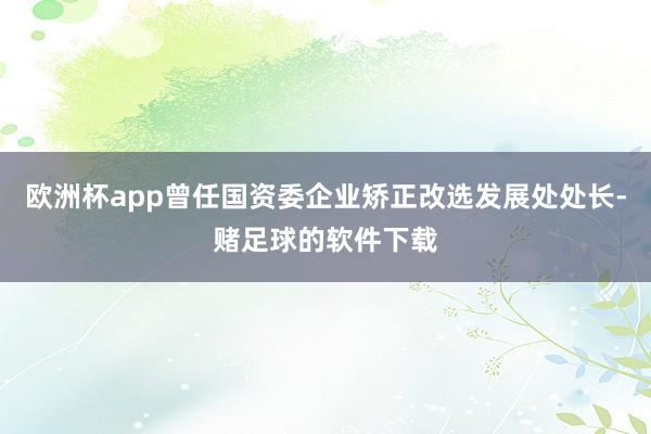 欧洲杯app曾任国资委企业矫正改选发展处处长-赌足球的软件下载