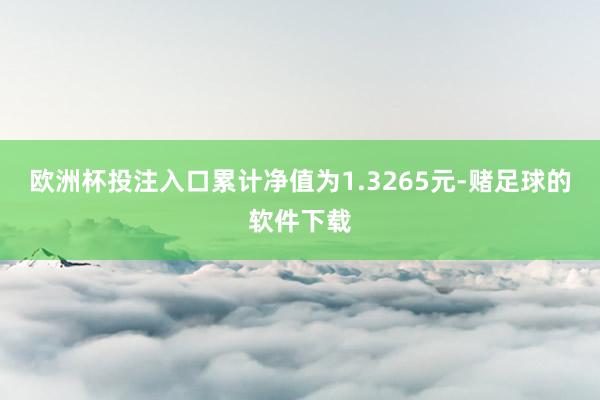欧洲杯投注入口累计净值为1.3265元-赌足球的软件下载