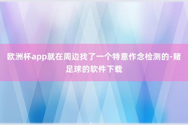 欧洲杯app就在周边找了一个特意作念检测的-赌足球的软件下载