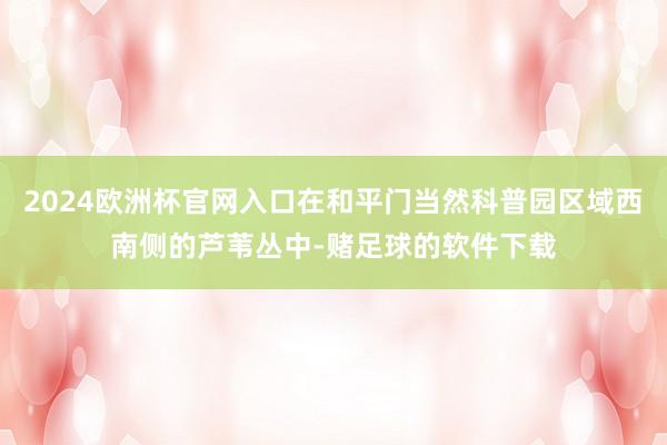 2024欧洲杯官网入口在和平门当然科普园区域西南侧的芦苇丛中-赌足球的软件下载