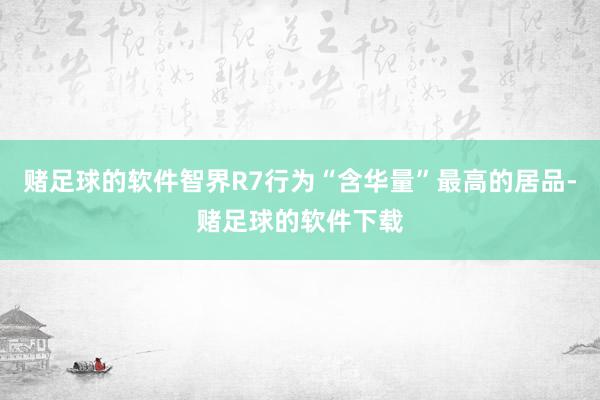 赌足球的软件智界R7行为“含华量”最高的居品-赌足球的软件下载