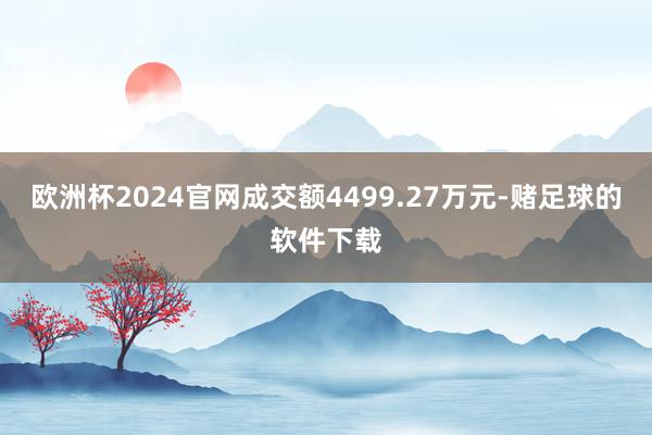 欧洲杯2024官网成交额4499.27万元-赌足球的软件下载