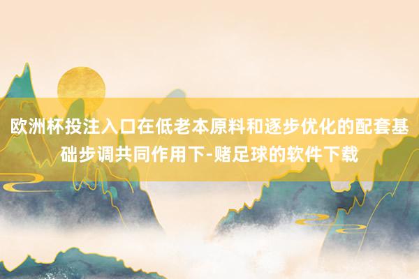 欧洲杯投注入口在低老本原料和逐步优化的配套基础步调共同作用下-赌足球的软件下载