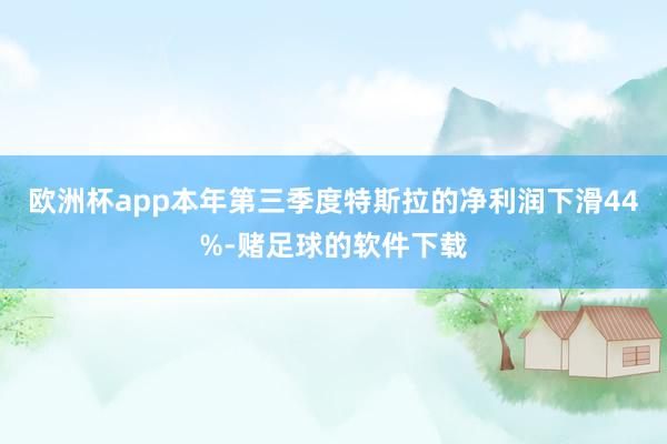 欧洲杯app本年第三季度特斯拉的净利润下滑44%-赌足球的软件下载