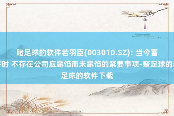 赌足球的软件若羽臣(003010.SZ): 当今蓄意情况平时 不存在公司应露馅而未露馅的紧要事项-赌足球的软件下载
