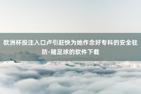 欧洲杯投注入口卢引赶快为她作念好专科的安全驻防-赌足球的软件下载