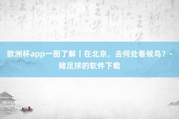 欧洲杯app一图了解丨在北京，去何处看候鸟？-赌足球的软件下载