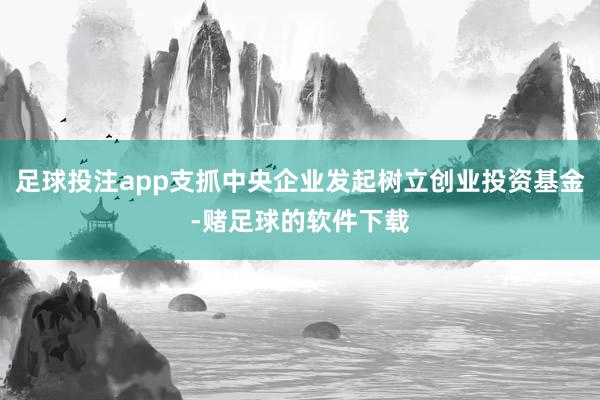 足球投注app支抓中央企业发起树立创业投资基金-赌足球的软件下载