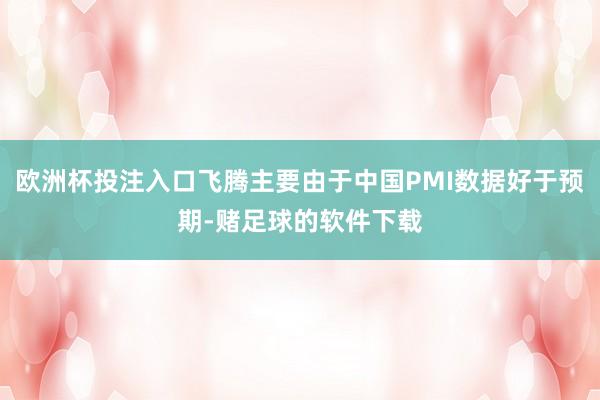 欧洲杯投注入口飞腾主要由于中国PMI数据好于预期-赌足球的软件下载