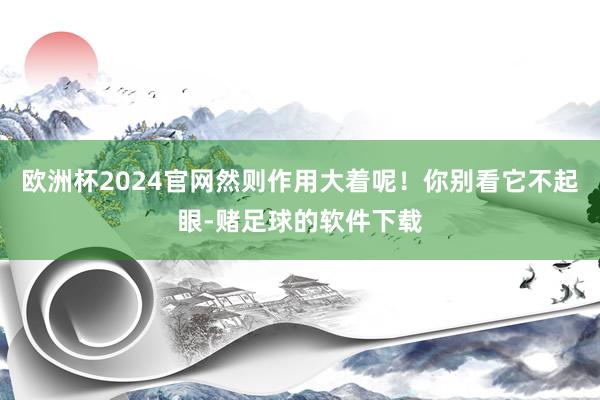 欧洲杯2024官网然则作用大着呢！你别看它不起眼-赌足球的软件下载