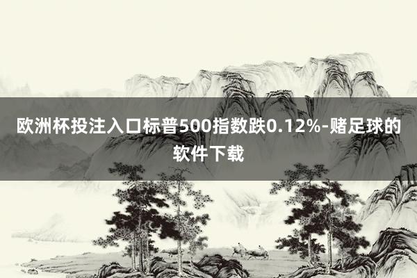 欧洲杯投注入口标普500指数跌0.12%-赌足球的软件下载