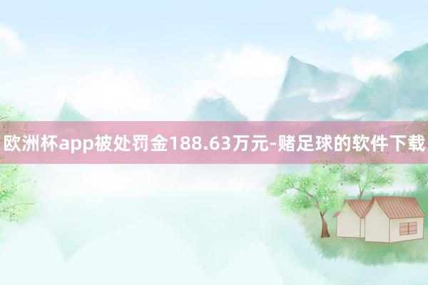 欧洲杯app被处罚金188.63万元-赌足球的软件下载