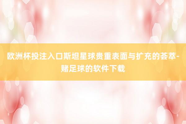 欧洲杯投注入口斯坦星球贵重表面与扩充的荟萃-赌足球的软件下载