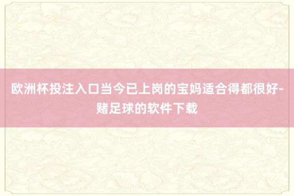欧洲杯投注入口当今已上岗的宝妈适合得都很好-赌足球的软件下载