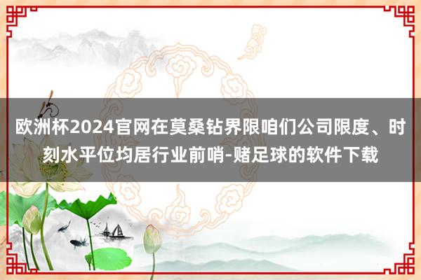 欧洲杯2024官网在莫桑钻界限咱们公司限度、时刻水平位均居行业前哨-赌足球的软件下载