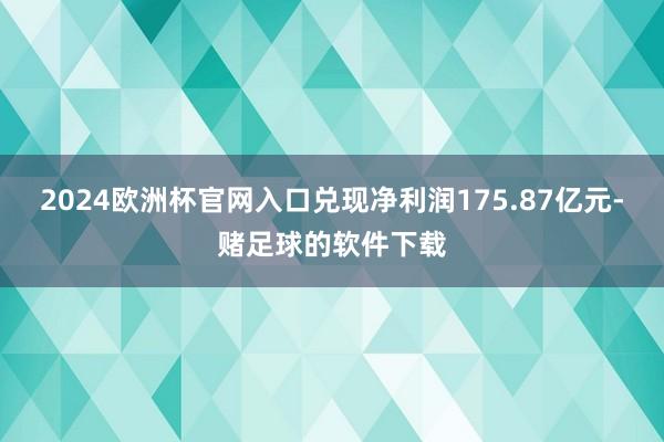 2024欧洲杯官网入口兑现净利润175.87亿元-赌足球的软件下载