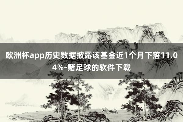 欧洲杯app历史数据披露该基金近1个月下落11.04%-赌足球的软件下载