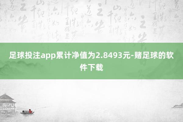 足球投注app累计净值为2.8493元-赌足球的软件下载