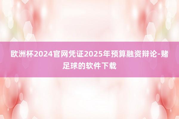 欧洲杯2024官网凭证2025年预算融资辩论-赌足球的软件下载