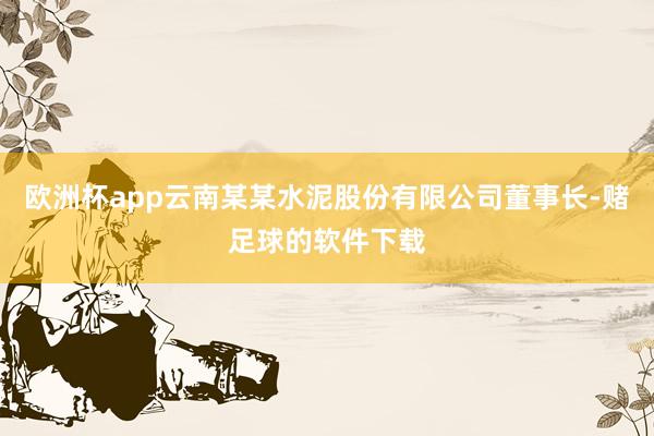 欧洲杯app云南某某水泥股份有限公司董事长-赌足球的软件下载