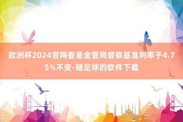 欧洲杯2024官网香港金管局督察基准利率于4.75%不变-赌足球的软件下载