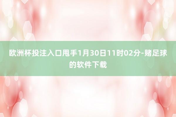 欧洲杯投注入口甩手1月30日11时02分-赌足球的软件下载