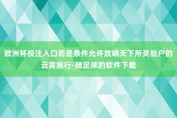 欧洲杯投注入口而是条件允许放哨天下所灵验户的云霄施行-赌足球的软件下载