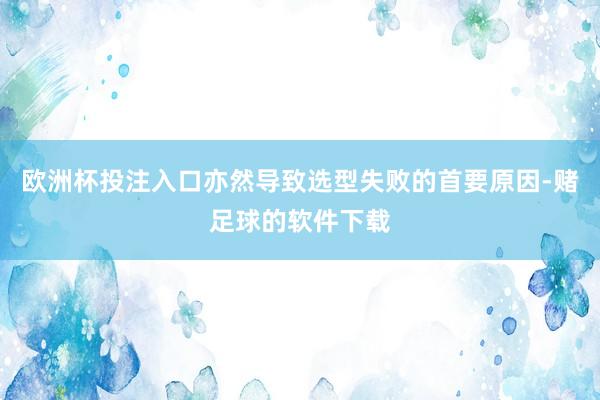 欧洲杯投注入口亦然导致选型失败的首要原因-赌足球的软件下载