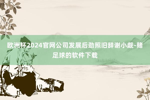 欧洲杯2024官网公司发展后劲照旧辞谢小觑-赌足球的软件下载