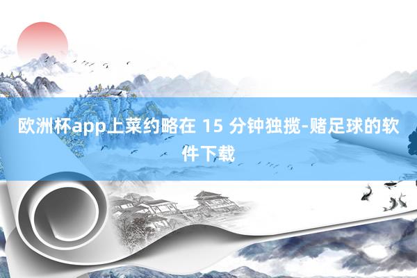 欧洲杯app上菜约略在 15 分钟独揽-赌足球的软件下载