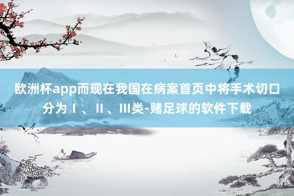 欧洲杯app而现在我国在病案首页中将手术切口分为Ⅰ、Ⅱ、Ⅲ类-赌足球的软件下载