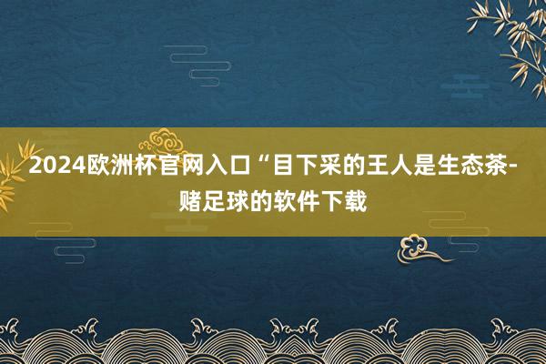 2024欧洲杯官网入口“目下采的王人是生态茶-赌足球的软件下载
