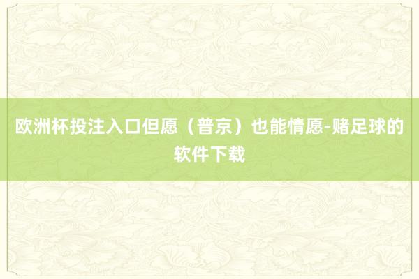 欧洲杯投注入口但愿（普京）也能情愿-赌足球的软件下载
