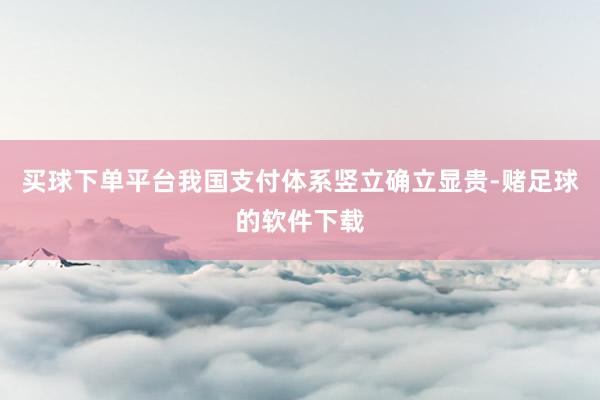 买球下单平台我国支付体系竖立确立显贵-赌足球的软件下载