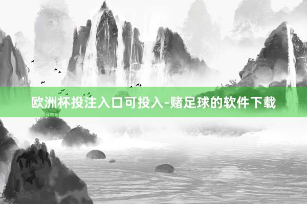 欧洲杯投注入口可投入-赌足球的软件下载