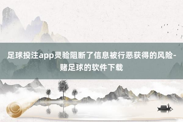 足球投注app灵验阻断了信息被行恶获得的风险-赌足球的软件下载