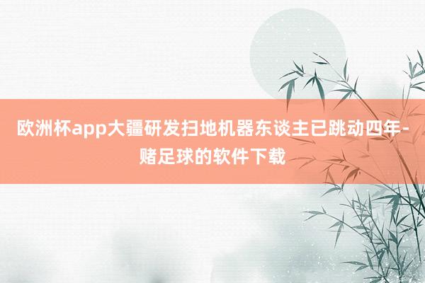 欧洲杯app大疆研发扫地机器东谈主已跳动四年-赌足球的软件下载