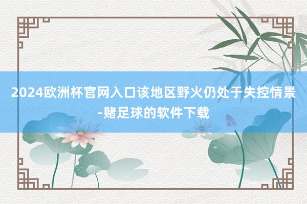 2024欧洲杯官网入口该地区野火仍处于失控情景-赌足球的软件下载