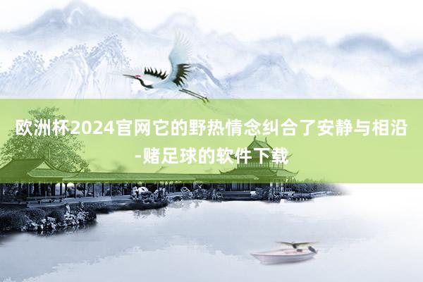 欧洲杯2024官网它的野热情念纠合了安静与相沿-赌足球的软件下载