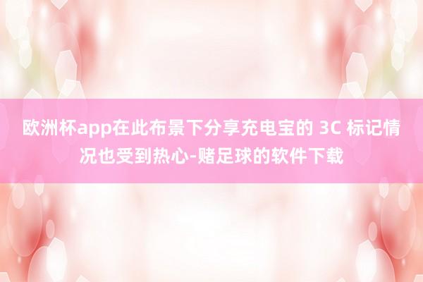 欧洲杯app在此布景下分享充电宝的 3C 标记情况也受到热心-赌足球的软件下载