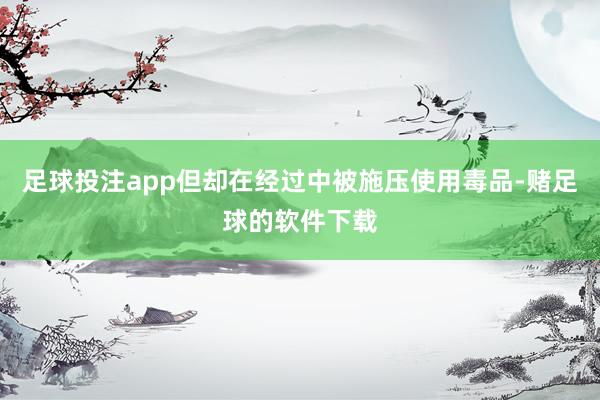 足球投注app但却在经过中被施压使用毒品-赌足球的软件下载
