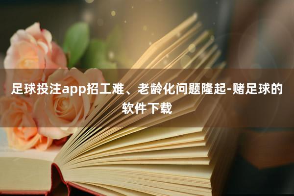 足球投注app招工难、老龄化问题隆起-赌足球的软件下载