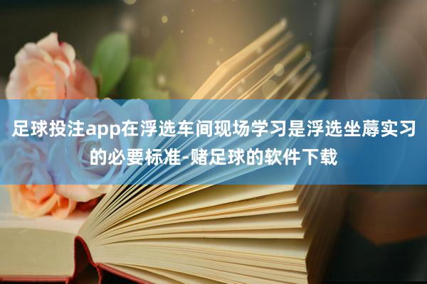 足球投注app在浮选车间现场学习是浮选坐蓐实习的必要标准-赌足球的软件下载