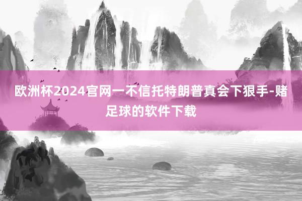 欧洲杯2024官网一不信托特朗普真会下狠手-赌足球的软件下载