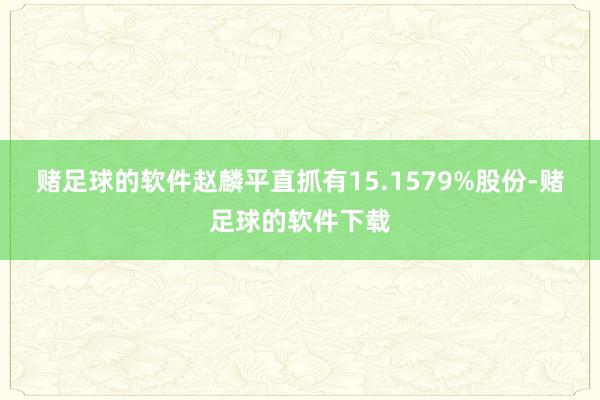 赌足球的软件赵麟平直抓有15.1579%股份-赌足球的软件下载