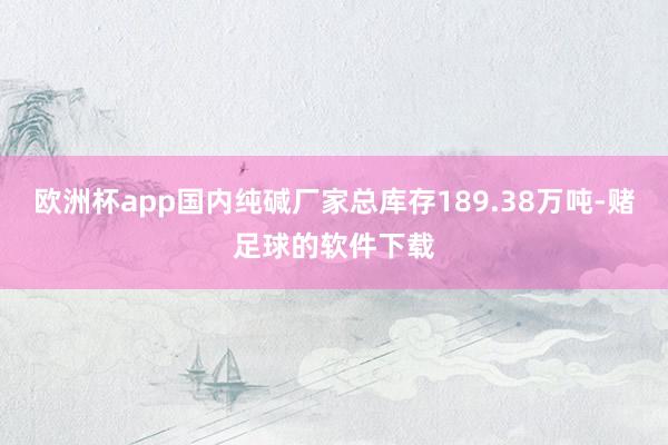 欧洲杯app国内纯碱厂家总库存189.38万吨-赌足球的软件下载