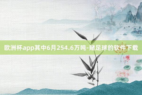 欧洲杯app其中6月254.6万吨-赌足球的软件下载