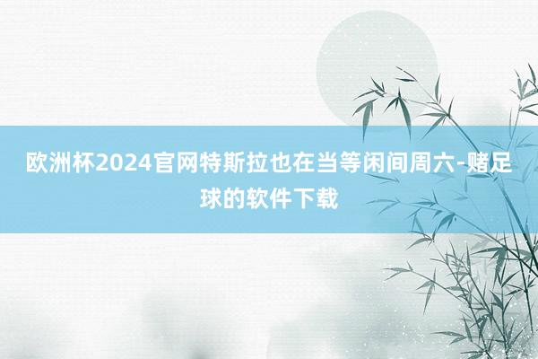 欧洲杯2024官网特斯拉也在当等闲间周六-赌足球的软件下载