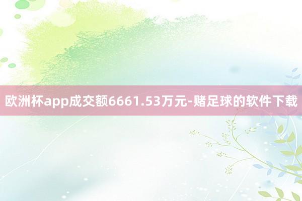 欧洲杯app成交额6661.53万元-赌足球的软件下载